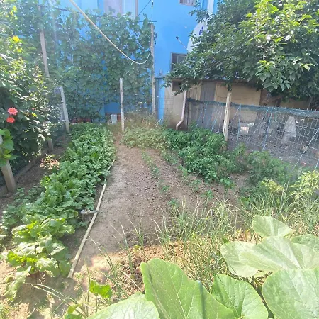 Hymetllari's Guest Farm&house *